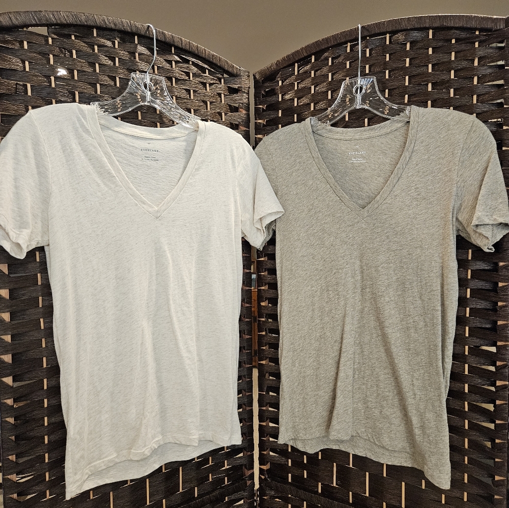 Everlane Organic Cotton V-Neck Tees